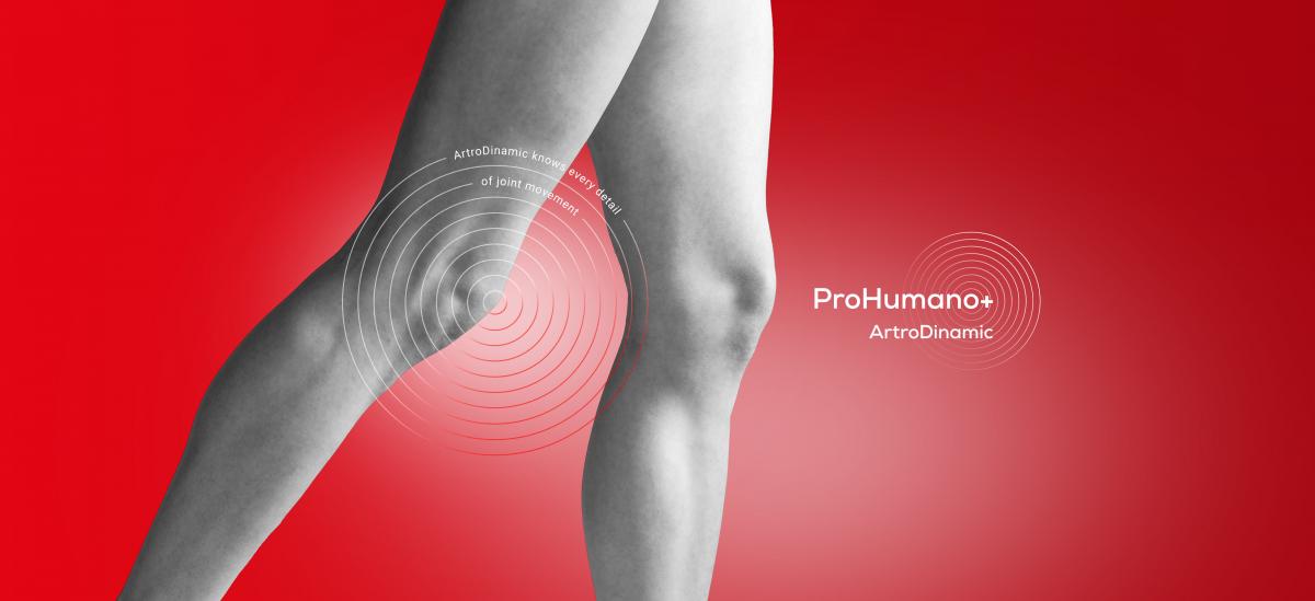 NAcetyl DGlucosamine Essential for cartilage formation ProHumano+